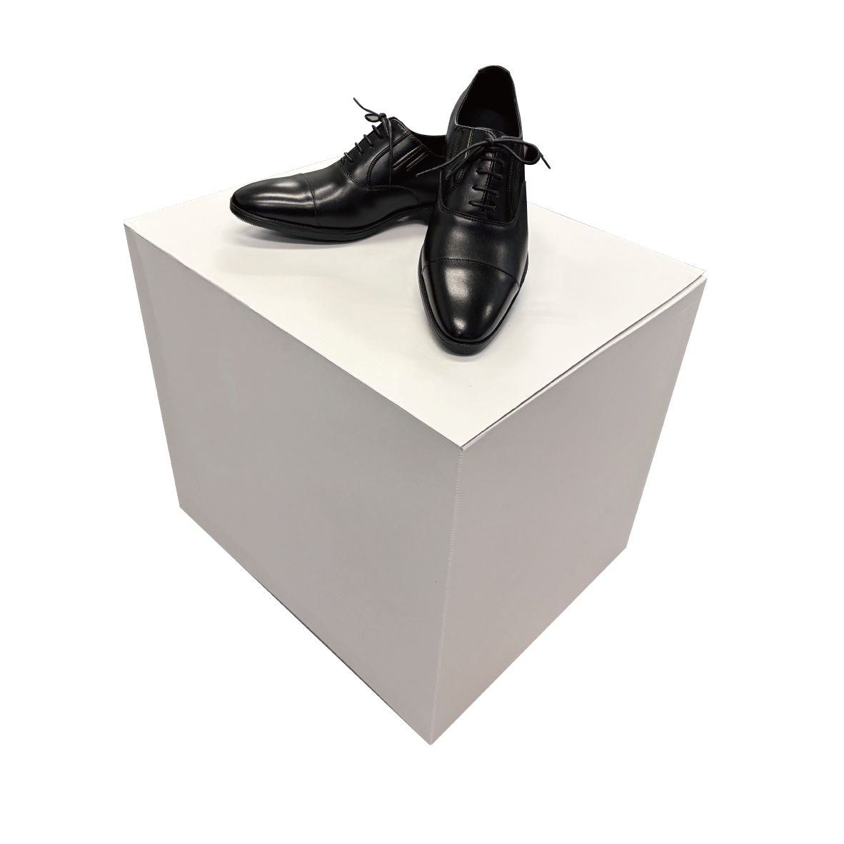 ワンタッチ展示BOX　の画像